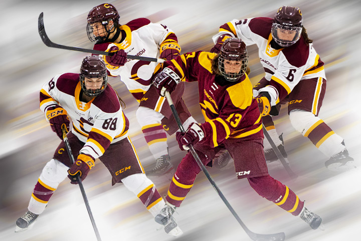 Stingers dominate RSEQ women's hockey all-star teams