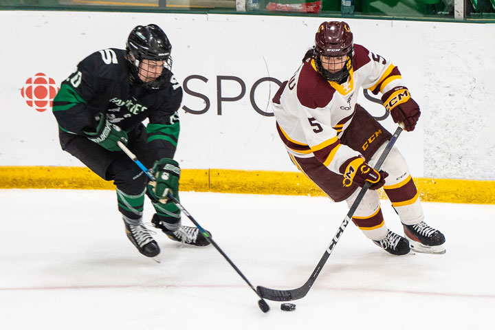 Concordia Stingers face off against Saskatchewan