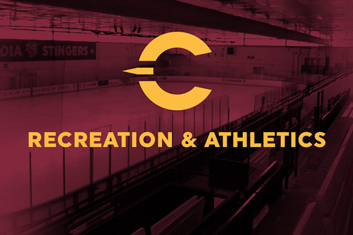 Support your Stingers on Giving Tuesday