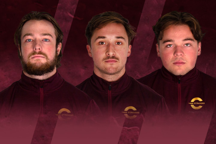 From left, Stingers Tyler Hylland, Carl Neill and Gabriel Bilodeau.