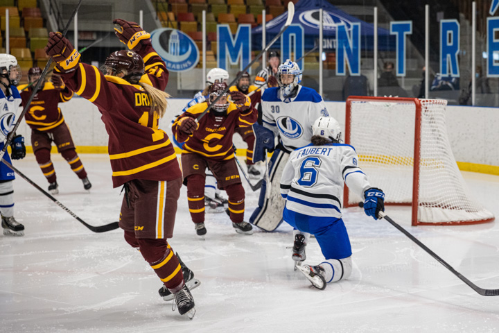 Stingers advance to RSEQ women's hockey finals