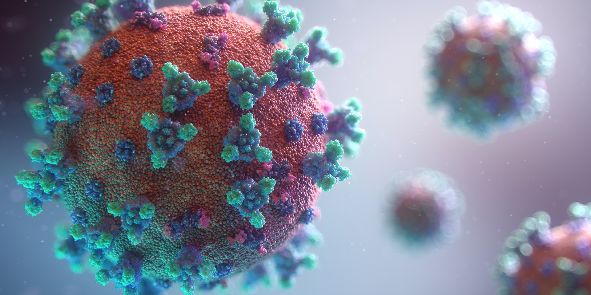 Two international postdocs are finding ways to defeat the virus that has  left them stranded in Montreal