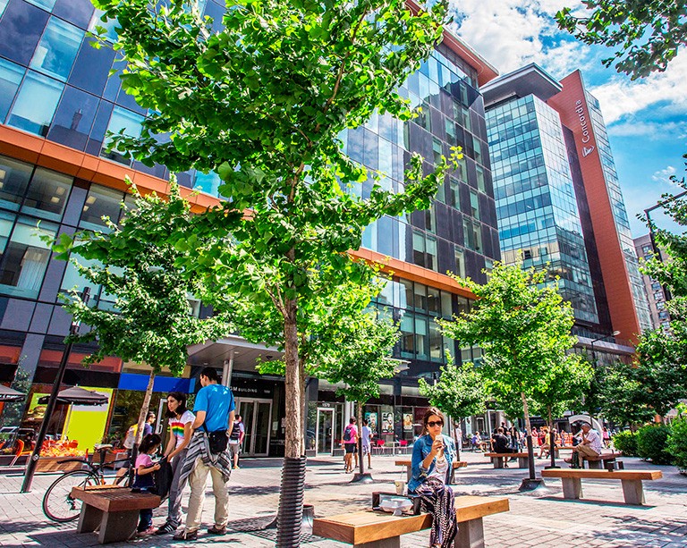 Montreal Chamber of Commerce report confirms higher education’s