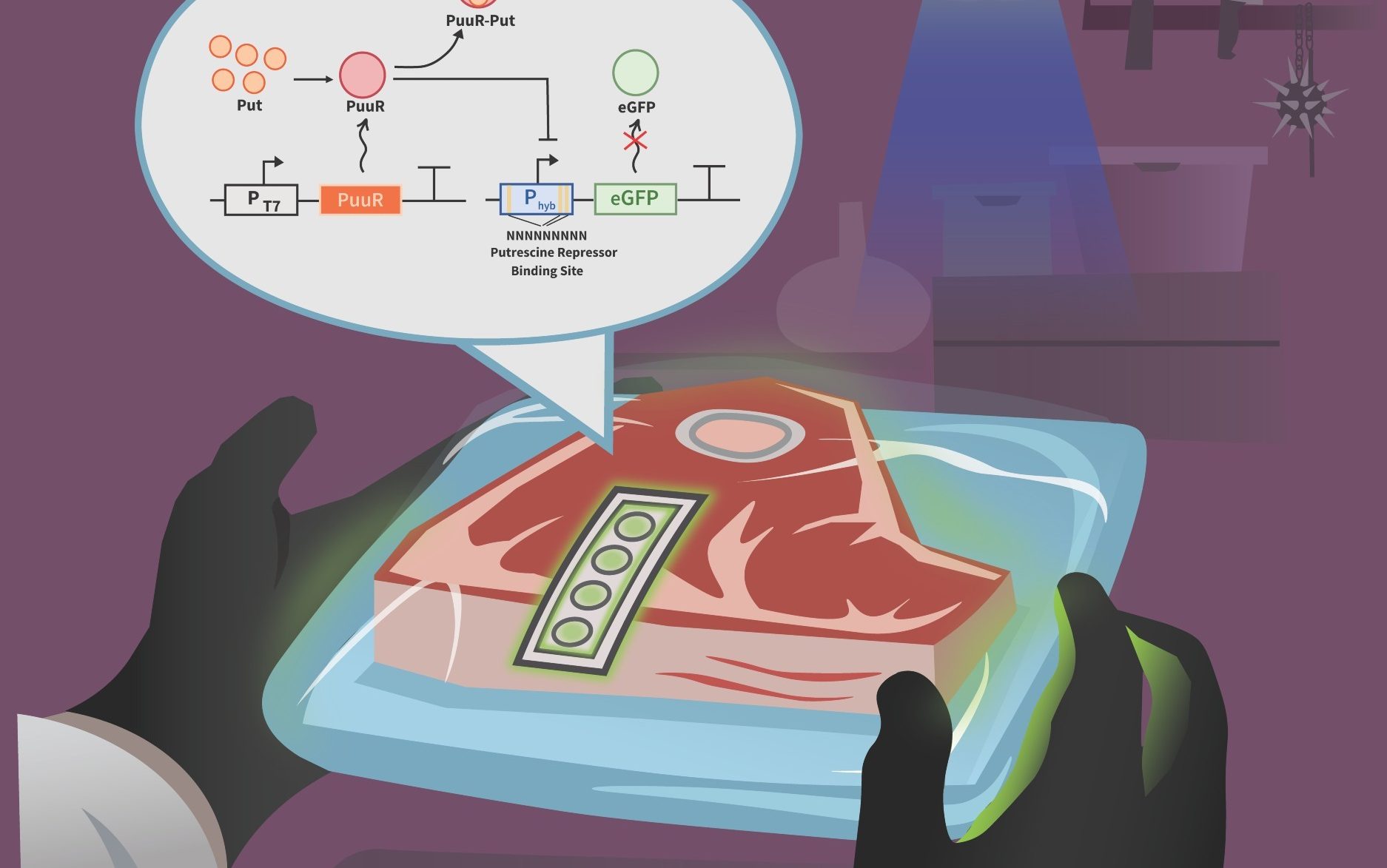 Rotten Meat Could Be Easier to Detect Thanks to a New Biosensor System Developed at Concordia