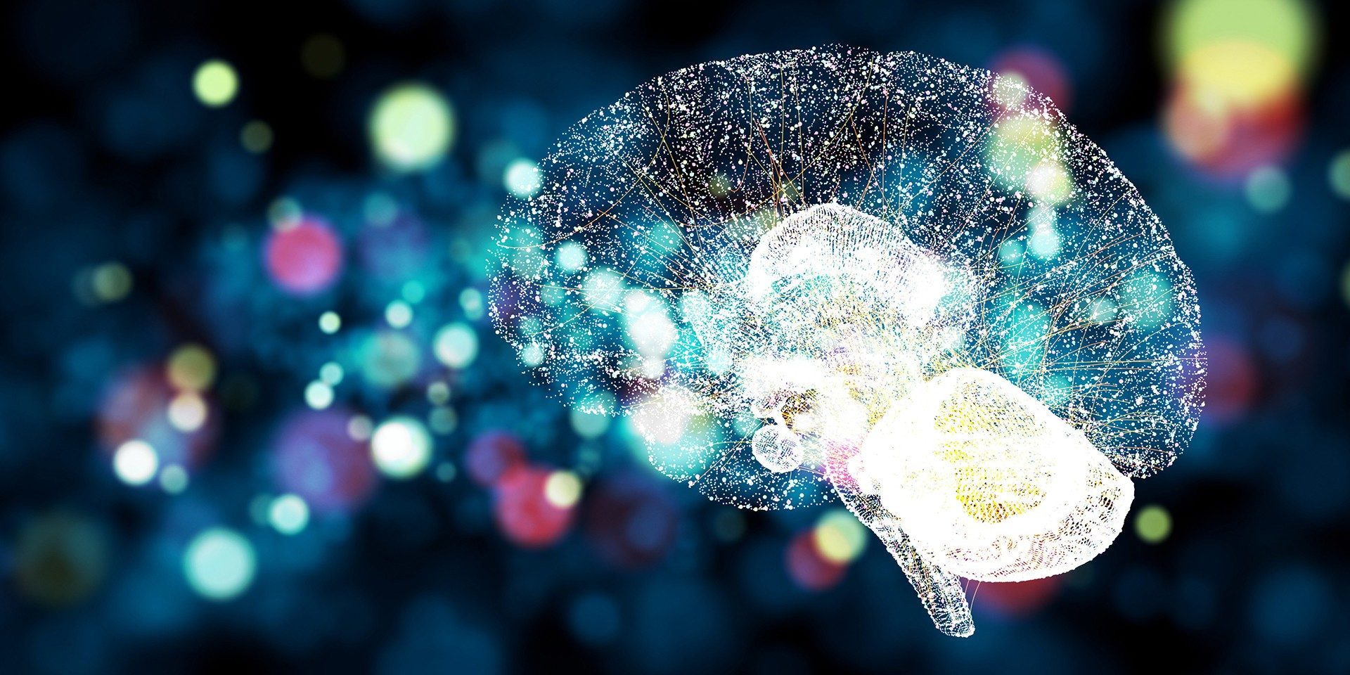 Bilingualism May Maintain Protection Against Alzheimer’s