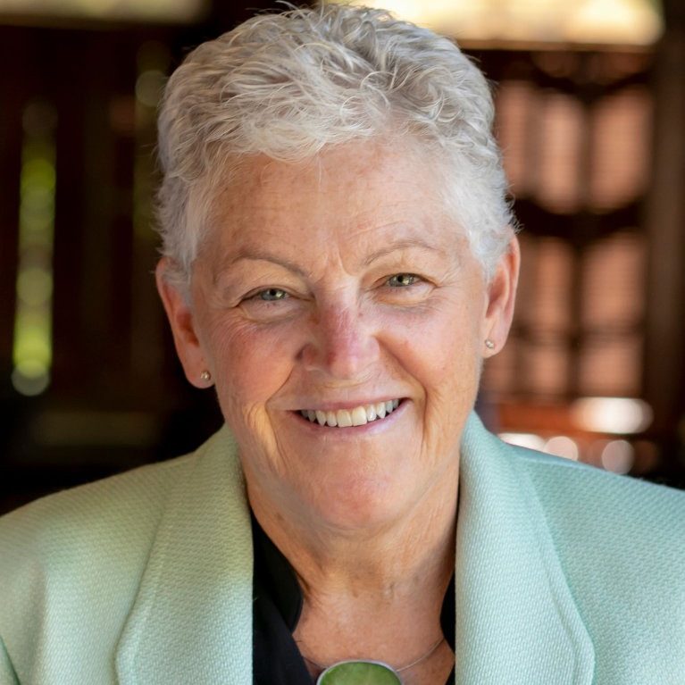 Gina McCarthy, image courtesy of Harvard