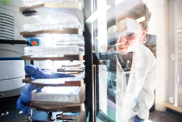 centre-for-applied-synthetic-biology-245-620 centre-for-applied-synthetic-biology-245-620