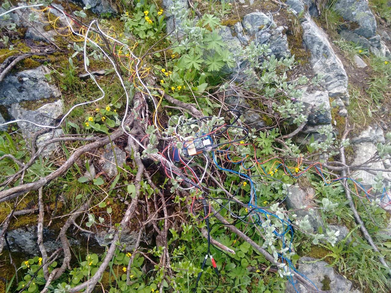 Electronic device with mother board visible and cords protruding in many dirrections is on a pile of fallen branches, rocks covered in moss and dirt.