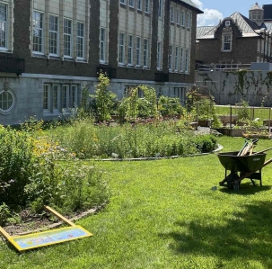 A picture of vegetable and native flower garden plots amid a lawn with a building in the background.