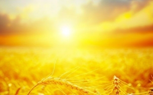 A yellow and orange landscape and ski