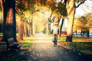 An image of a person riding a bike away from teh camera along a sunlit path under an avenue of trees.