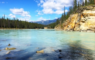 Bright blue river running through the mountains with spruce trees on the banks