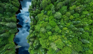 Aerial photo of a blue river flowing through a green forest