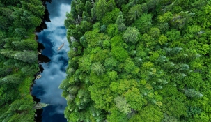 Aerial photo of a blue river flowing through a green forest