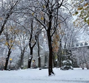 Grey Nuns Building in Winter