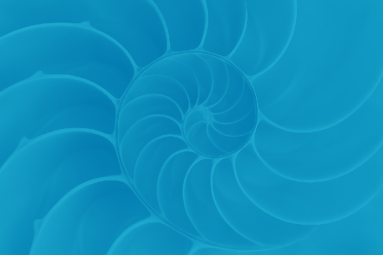 Inside of nautilus shell, spiral echoes the shape of letter C, blue hue