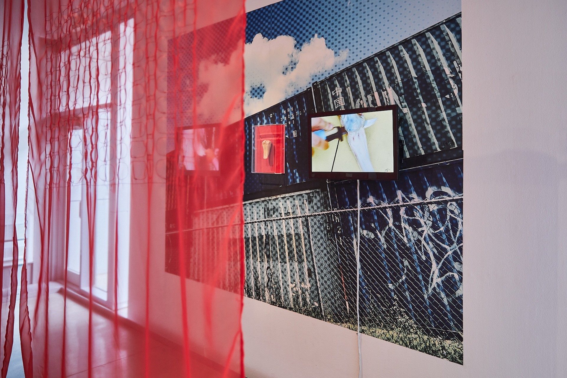 An installation in a gallery space showing a large-scale print pasted on the white wall of the gallery. The print shows an urban landscape with a blue sky. On the print is a bone tool sandwiched between two screens showing the processing of animal hides. Half of the image is covered with sheer red curtains with an embroidered pattern.