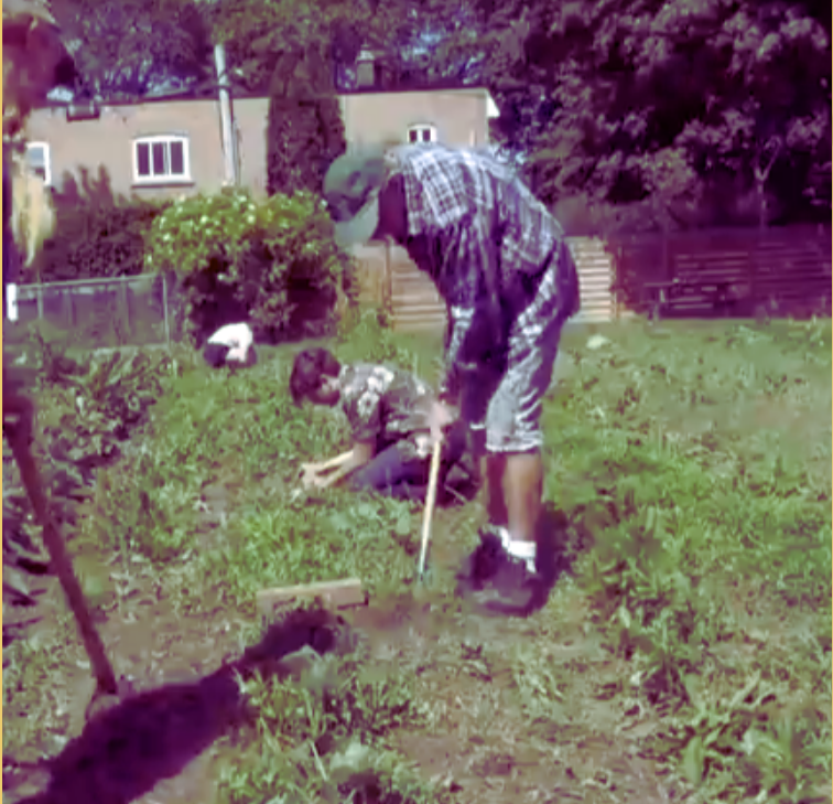 A man learned over and a woman crouched down working in a garden