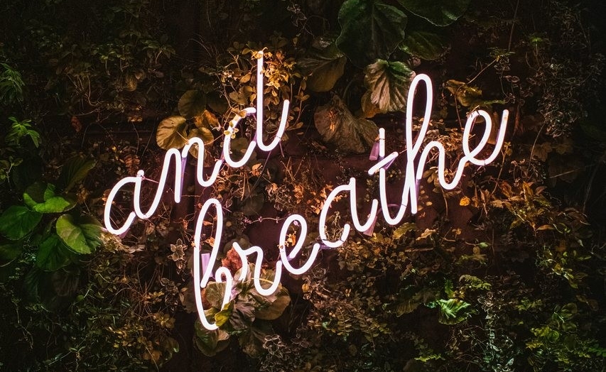 a dark, leafy wall with a neon sign that reads "and breathe"
