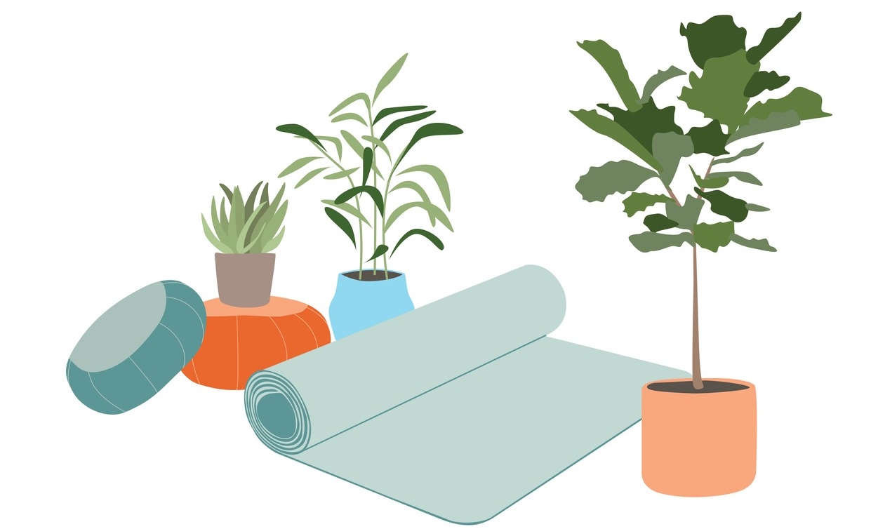 illustration of a yoga mat, meditation cushions, and some house plants