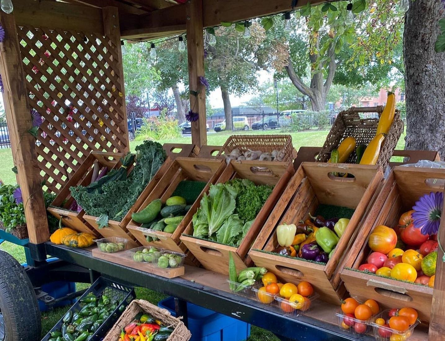 Baskets of colourful fresh vegetables on outdoor stand.