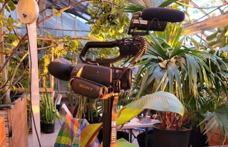 A camera on a tripod capturing the beauty of a greenhouse.