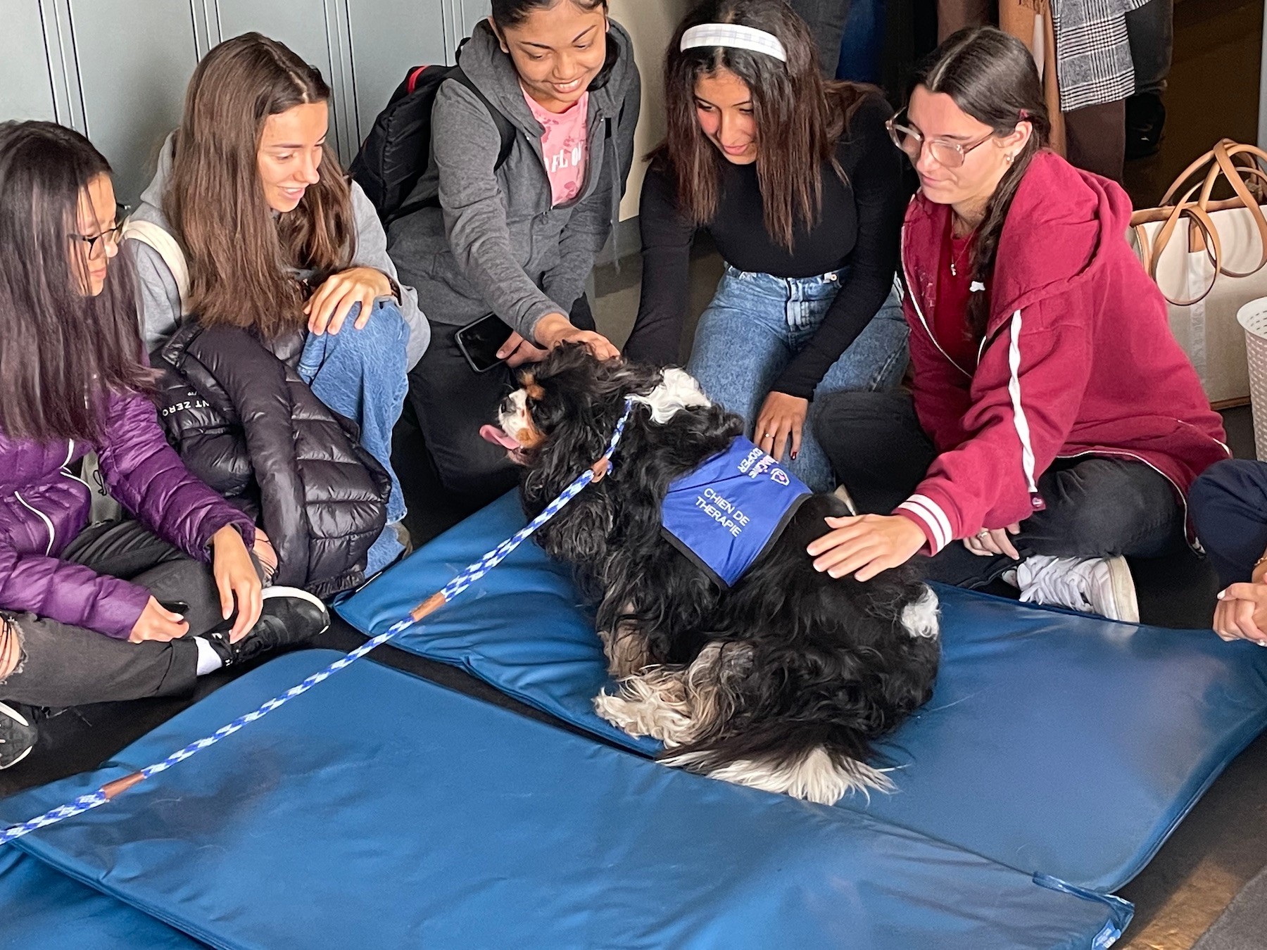 Two collie dogs sit in the Vanier library