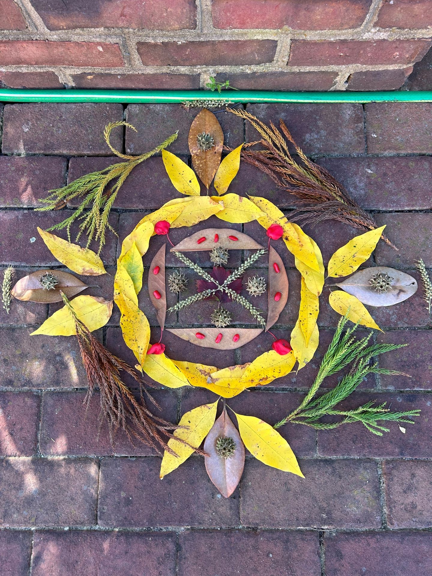 yellow leaves, spruce and red petals arranges in a circle on bricks