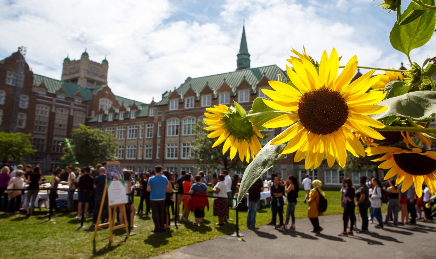 Students on Loyola quad