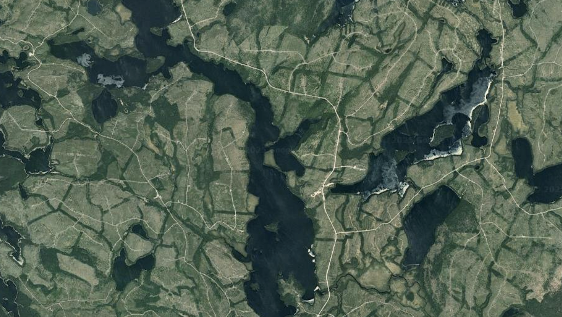 The Silencing of First Nations and Independent Science in Québec's New Forestry Plan