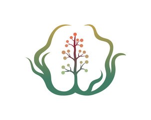 Indigenous Directions graphic identifier