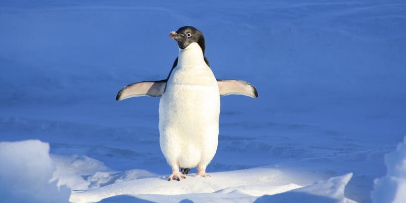 linux