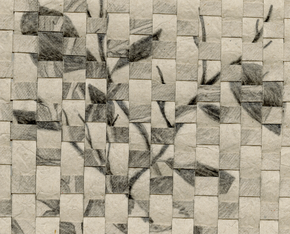 The image presents paper woven in strips. The paper is beige, there are two images woven together of plant matter, but because of the weaving, it is difficult to determine what they are.