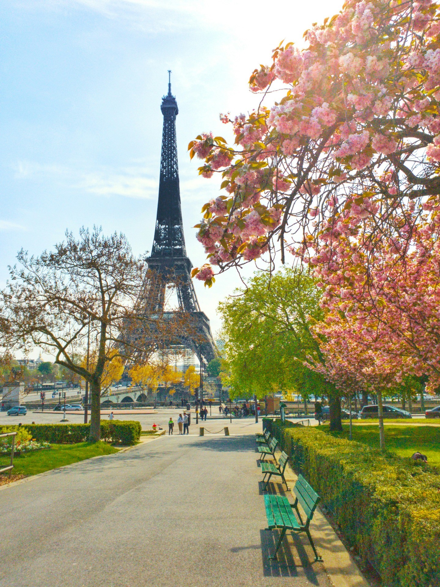 image of the Eiffel tower in Paris, France