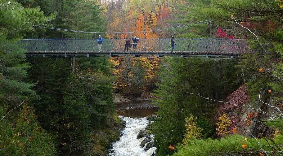 Four people stand on a rope bridge that spans a waterfall in the evergreen forest of Parc des Sept-Chutes