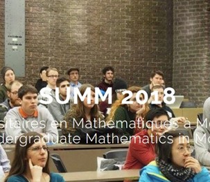 Uncovering the multiple facets of mathematics