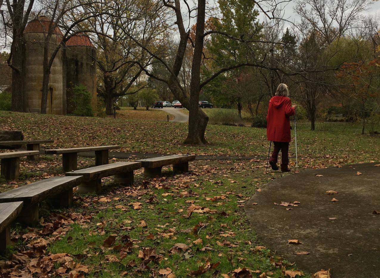 Andra McCartney pictured on an autumn day, walking away from the camera on a 'soundwalk'