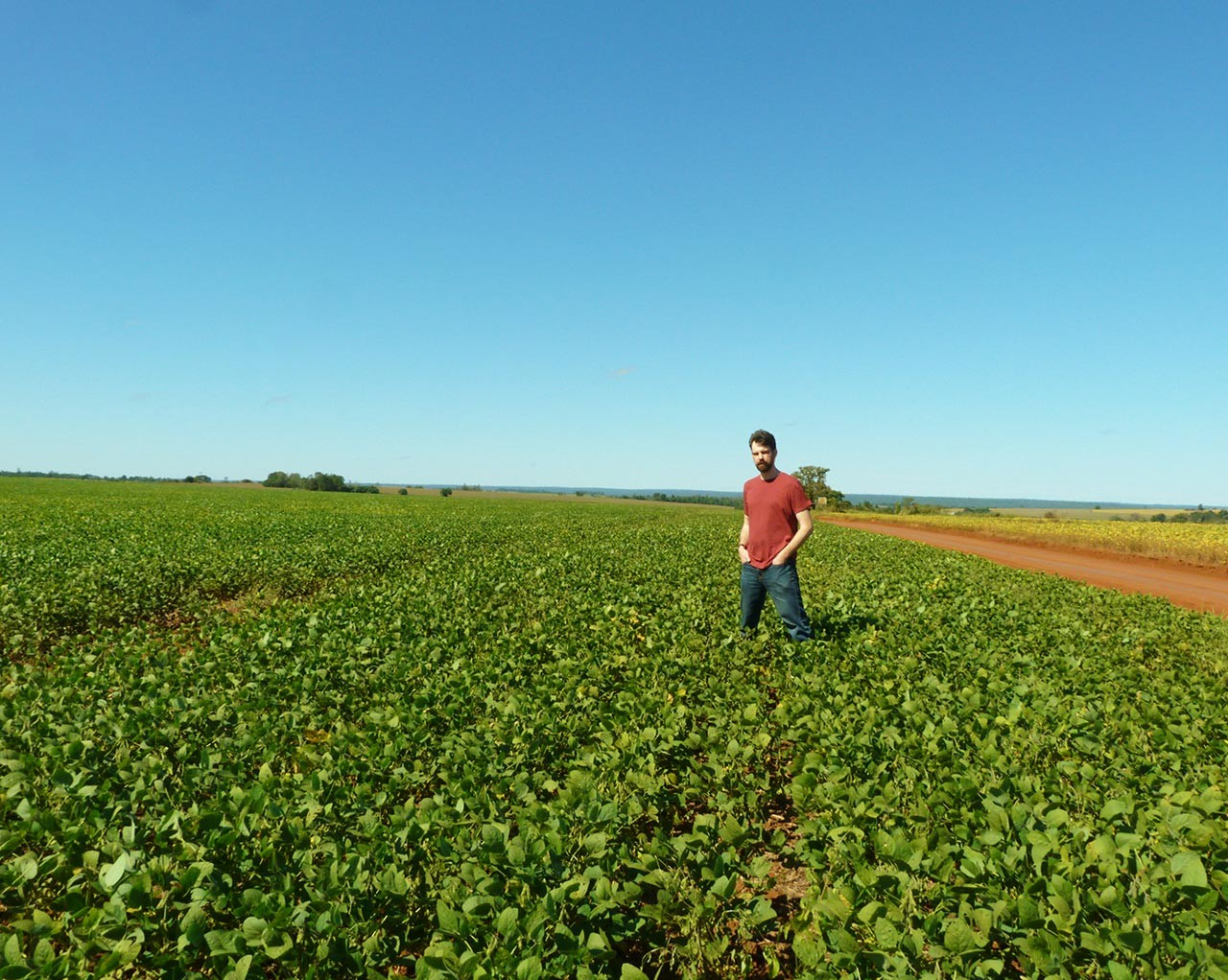 Concordia professor’s new book examines ecological destruction and social injustice through Paraguay’s soybean mass production