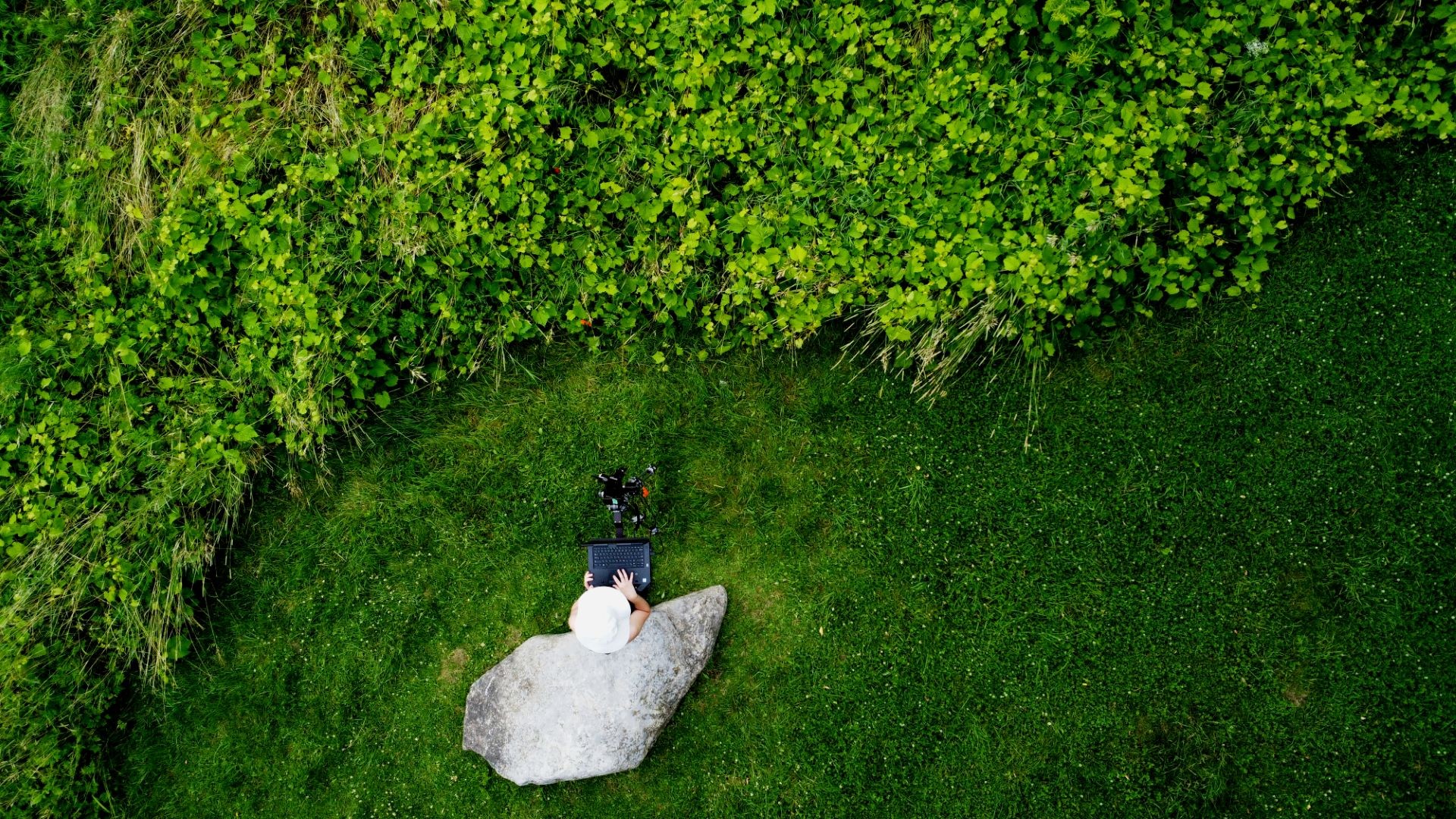 ‘Using remote sensing to capture biodiversity’, by Jennifer Donnini, Department of Geography, Planning and Environment