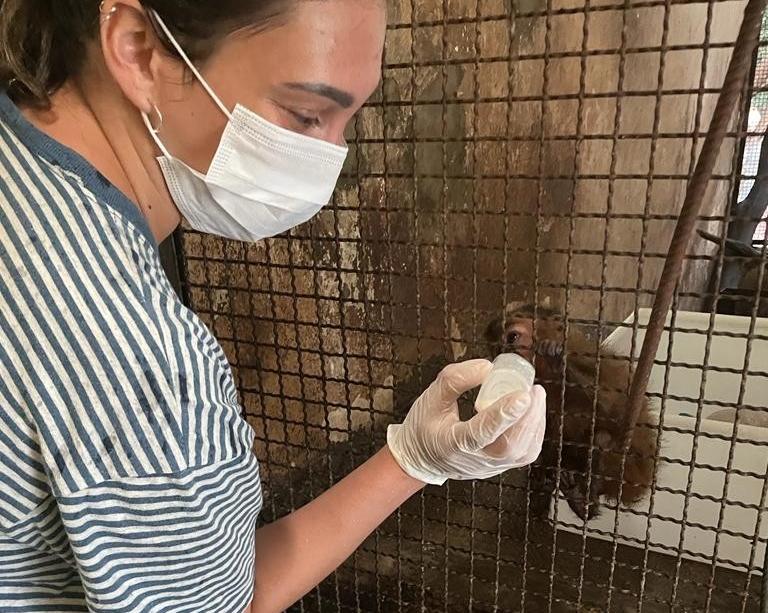 Mikaela Gerwing feeding a baby capuchin