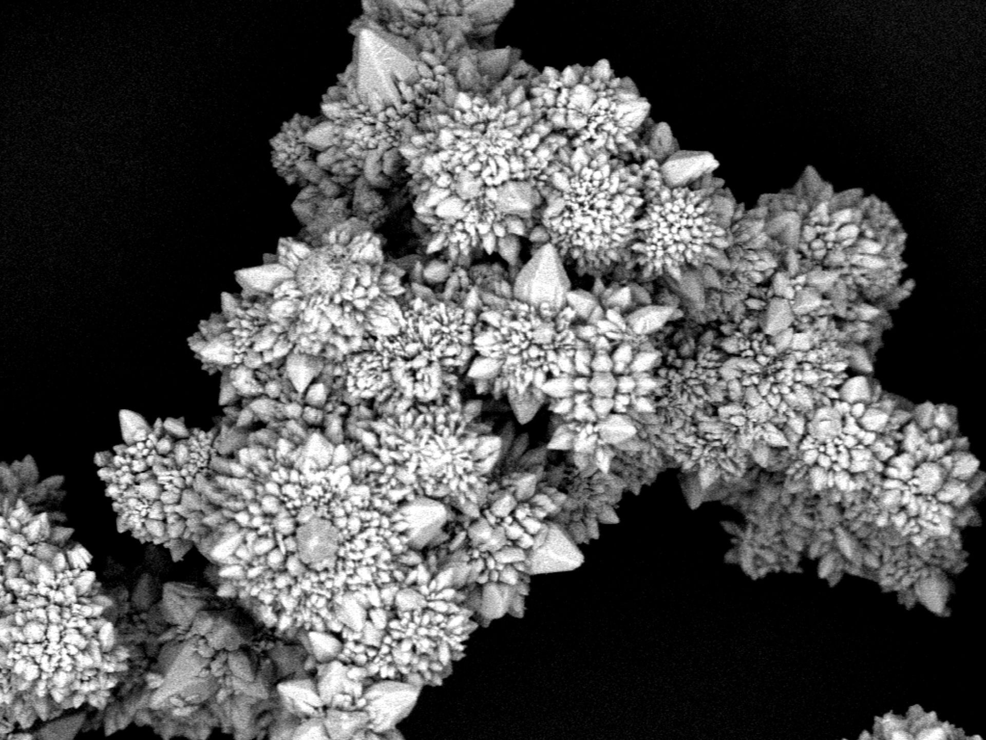 Closeup of a micromotor cluster