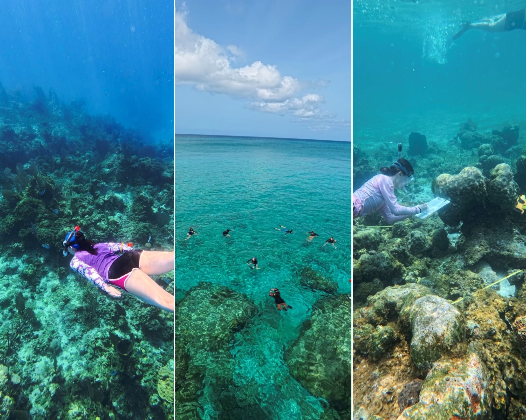 Three vertial photos showing students conducting research under water