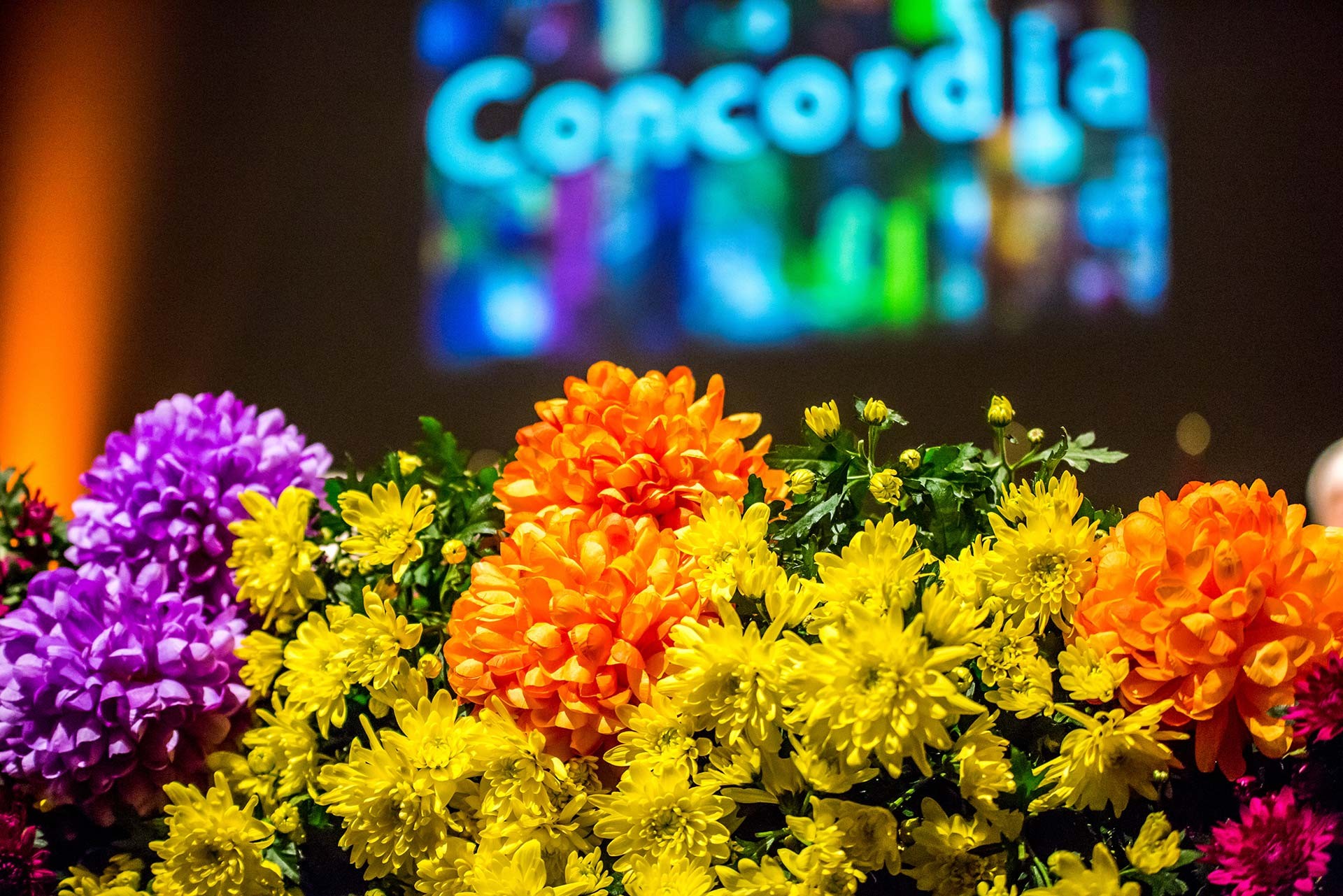 Close up of flowers at convocation with large screen in background that says Concordia.