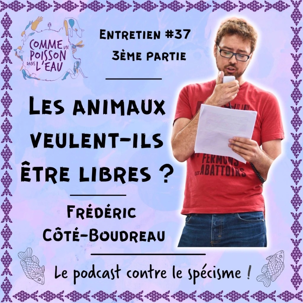 La justice envers les animaux avec Frédéric Côté-Boudreau
