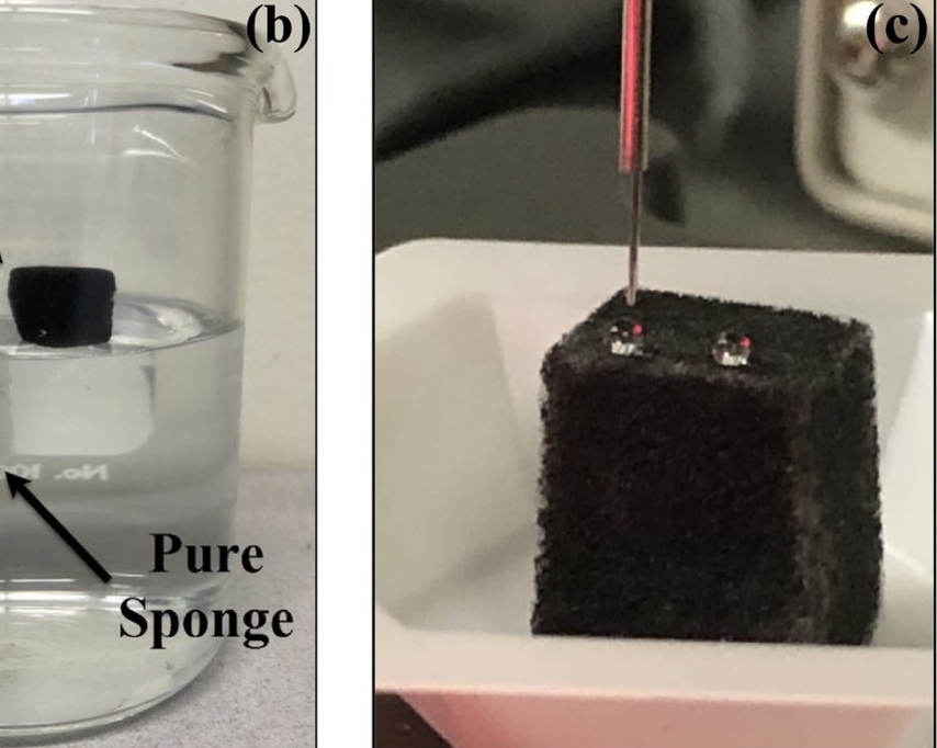 RESEARCH: New eco-friendly sponge offers promising solution for oil spill cleanups