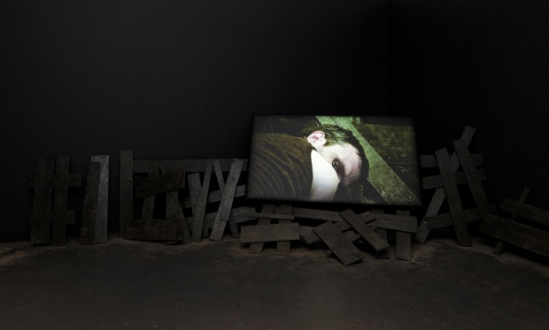 Julie Favreau, Ernest Ferdik, Video installation view, 2011. Photo by Guy L'Heureux.