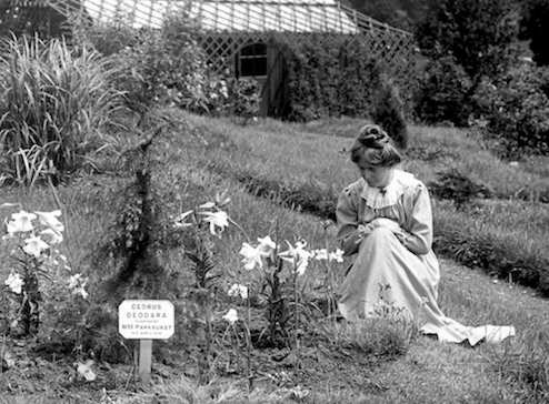 Lecture - Dr Cynthia Hammond: Making Space: Activism, Landscape, and Women's History