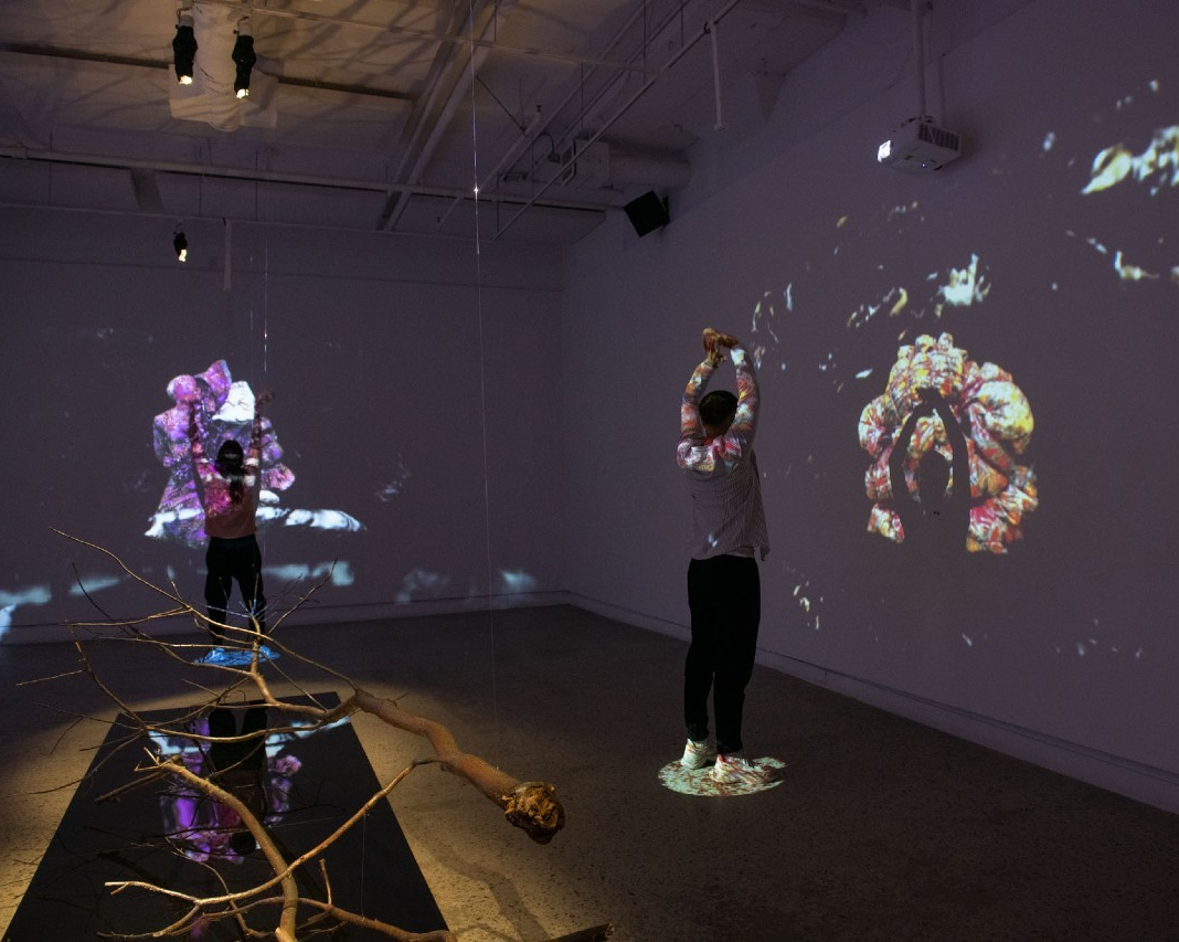 Interactive video installation by two Concordia artists shown at Optica