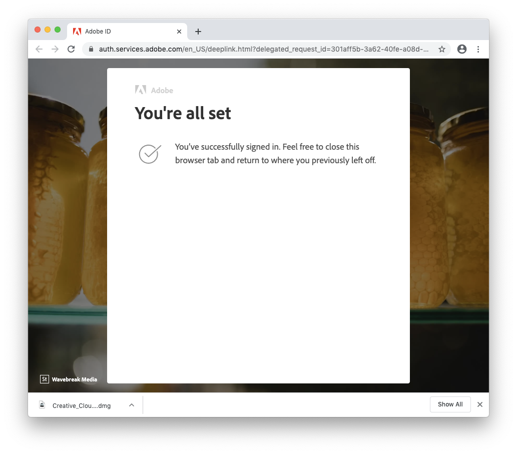 Adobe sign-in confirmation page in a web browser showing a message “You’re all set.” Below, text confirms “You’ve successfully signed in” and instructs the user to close the tab and return to the previous task.