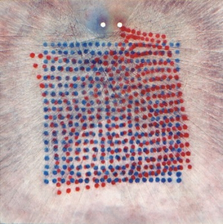 Vincent Routhier, 2 images de x, 2016, pigments sur papier, 200 x 200 cm Vincent Routhier, 2 images de x, 2016, pigments sur papier, 200 x 200 cm